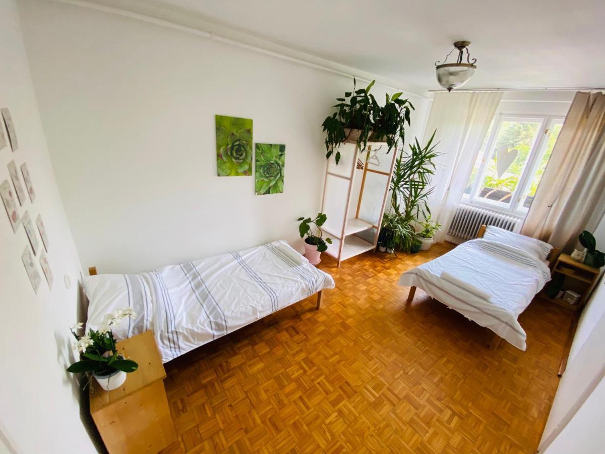 Apartmán Dreamflat Keszthely Exteriér fotografie